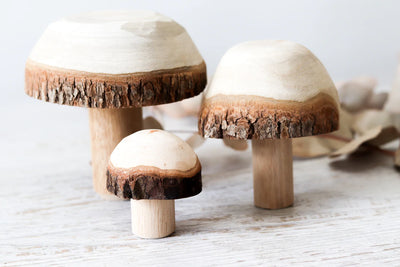 Wooden Mushrooms - Set of 3